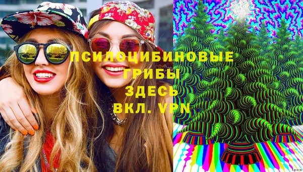 спиды Алзамай