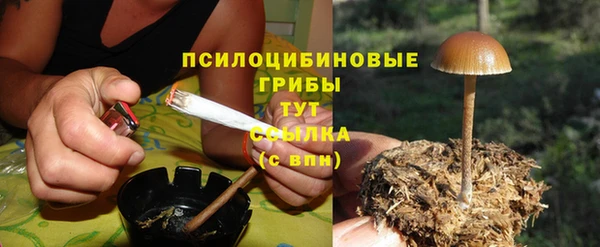спиды Алзамай