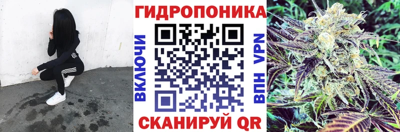 гидра онион  Суровикино  Бошки Шишки конопля 